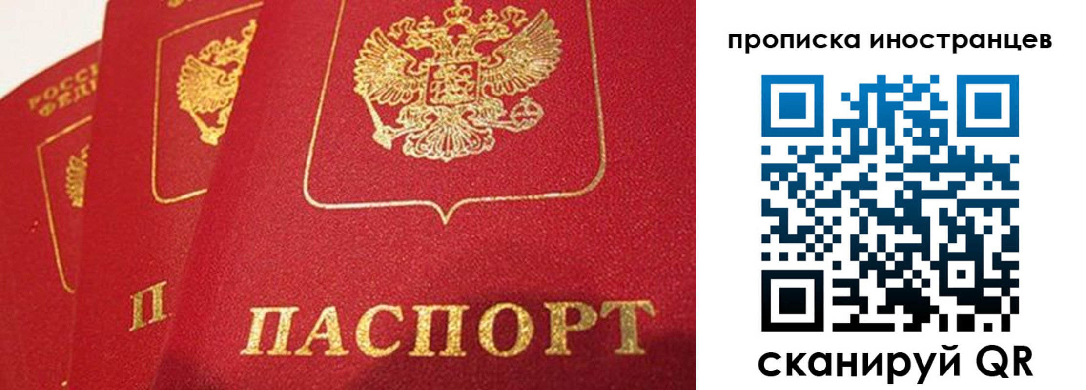 прописка поиск в Зарайске